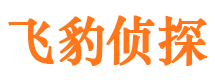 平度侦探公司